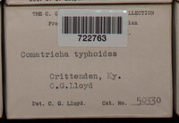Image Associated With the Occurence